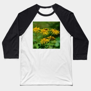 Alpine flowers Baseball T-Shirt